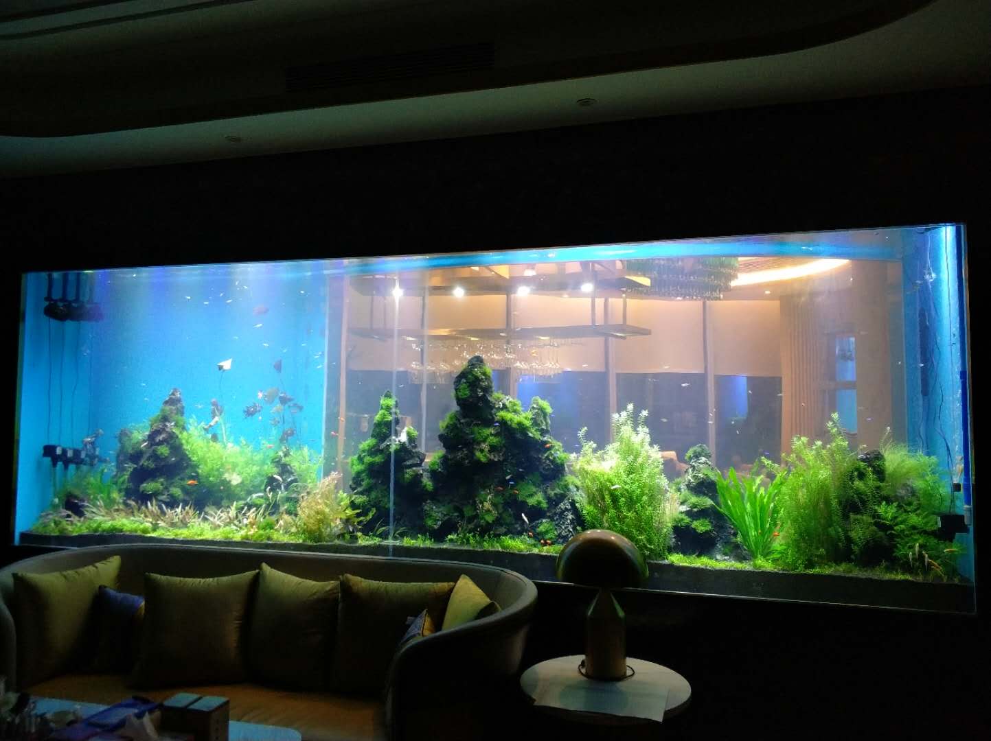 亞克力魚(yú)缸工程