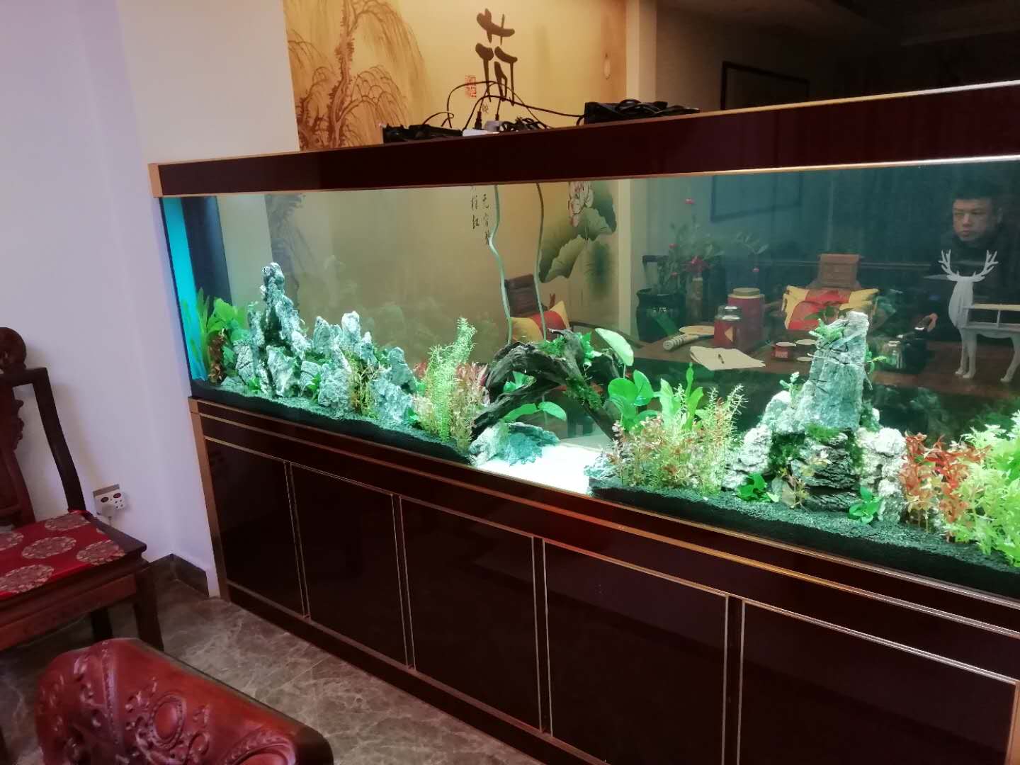 造景魚(yú)缸